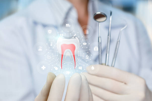 Trusted Accokeek, MD Holistic Dental Care Services Experts